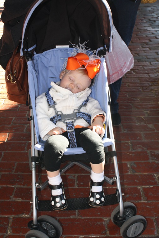 [IMG_5255e%255B5%255D.jpg]
