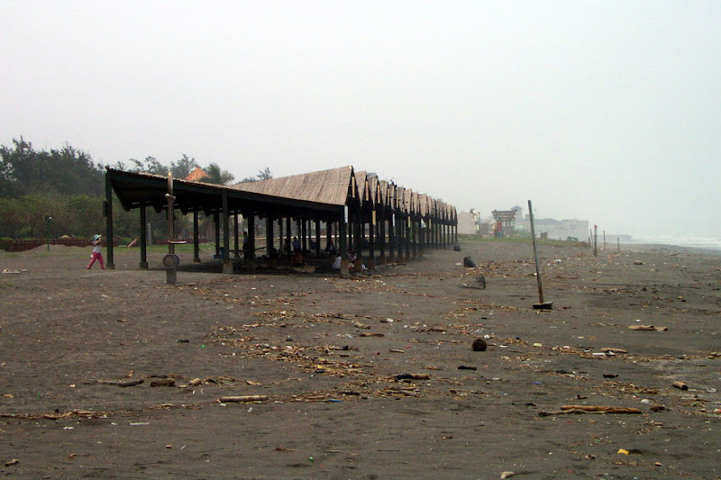 pic09.jpg