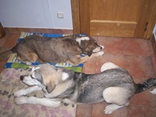 Imagen 116 Imagen 116