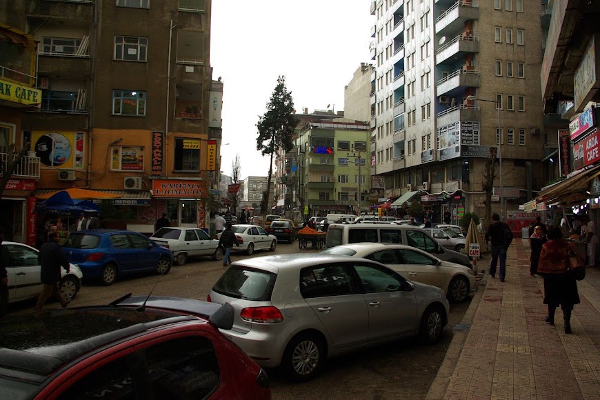 IMGP3209.jpg