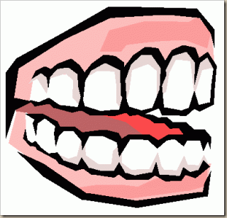 False_Teeth-3-300x288