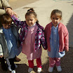 ALIM0748.JPG