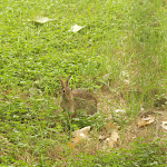 IMG_8634.jpg