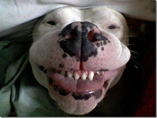 10 METAS PARA EL 2016, HUMOR 10 METAS PARA EL 2016, HUMOR