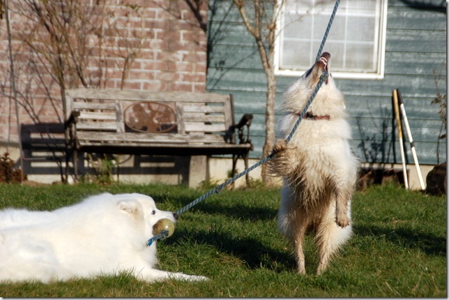 DSC_5047 DSC_5047