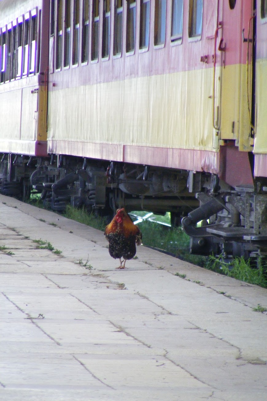 DSCF9749.JPG