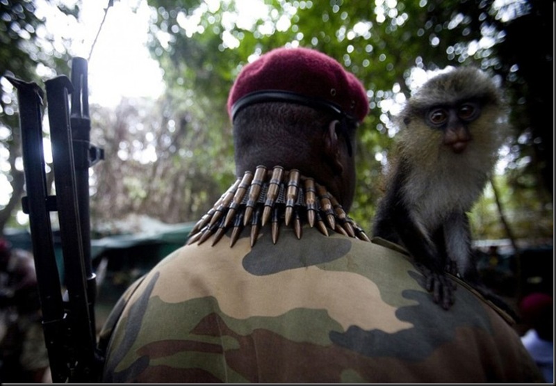 Monkey shoulder militant movement MEND.