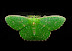 Geometridae : Geometrinae : Anisozyga metaspila WALKER, 1861, mâle. Umina Beach (NSW, Australie), 26 octobre 2011. Photo : Barbara Kedzierski