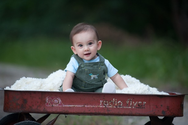 Image of boy in a red wagon.  Used with permission on iHeartFaces.com.