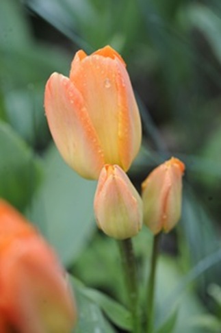 20120425_082419