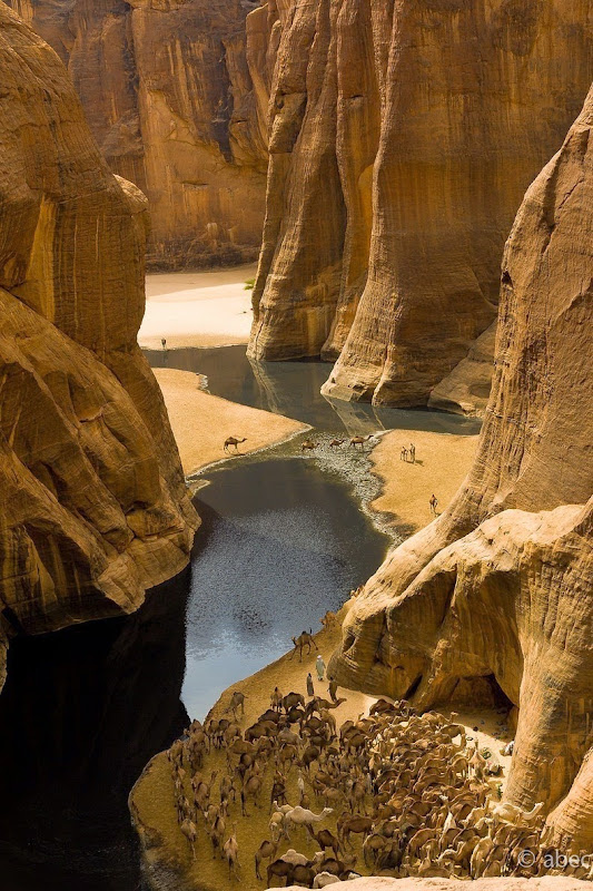 guelta-archei-7