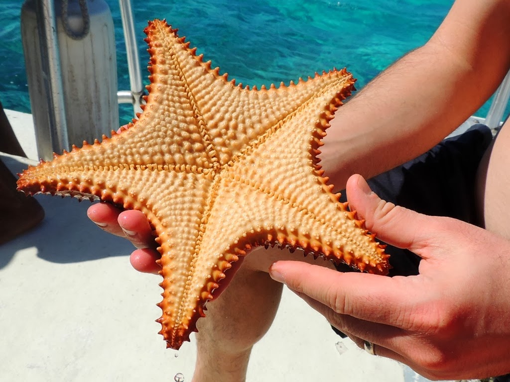 [DSCN7449%255B3%255D.jpg]