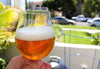IPAison West Coast IPA with Saison Hops