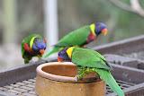 IMG_8524.JPG