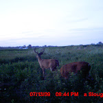 MDGC0048.JPG