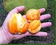 [aaa-jaca-ambar3.jpg]