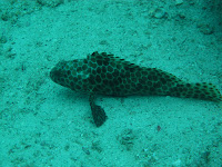 IMG_0545.JPG