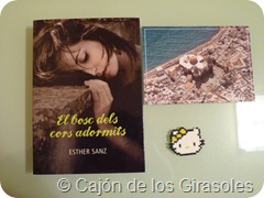 P1030395 P1030395