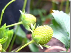 IMG_7380 IMG_7380