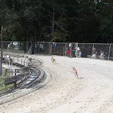 IMG_3676.JPG