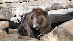 denver_zoo