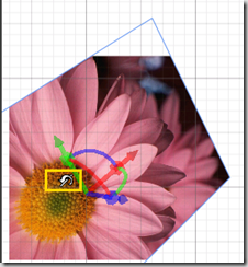 image image