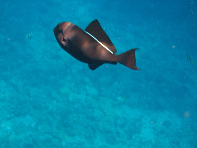 [IMG_3495%255B3%255D.jpg]