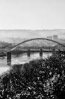 Fog-Over-Newport.jpg