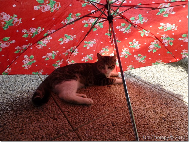 Uni Therapy: Amat Umbrella