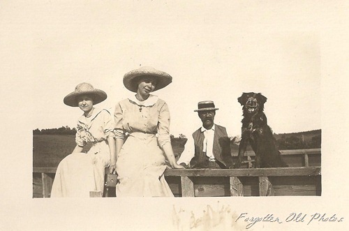 Postcard Ladies in hats Dog in a muzzle DL Antiques