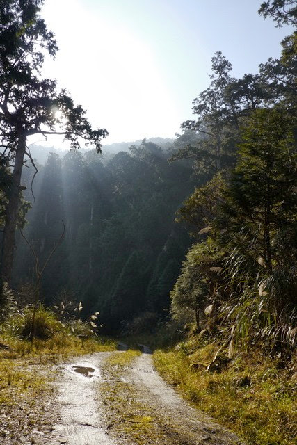 2013_0130-0131 復興雙障-嘎拉賀上唐穗山連走稜山_141