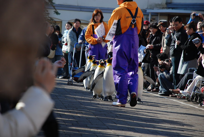 hokkaido_300.jpg