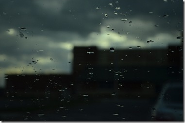 _DSC0073 _DSC0073