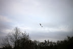 IMG_5097.JPG
