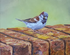 Blue Sparrow Blue Sparrow