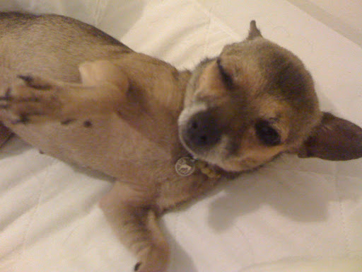 ....Minnow offers inquiring journalists little more than her signature wink and giggle....