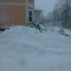 P1180669.jpg