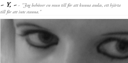 Skärmklipp