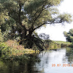 DSCN4577.JPG