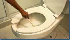 CLEANING THE TOILET BOWL