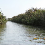 IMG_7952.JPG