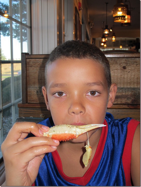 IMG_3440 IMG_3440