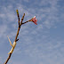 IMGP8292_46.jpg