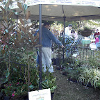2006 Chamber Fall Festival