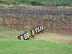 South Africa Day 1 - On Safari