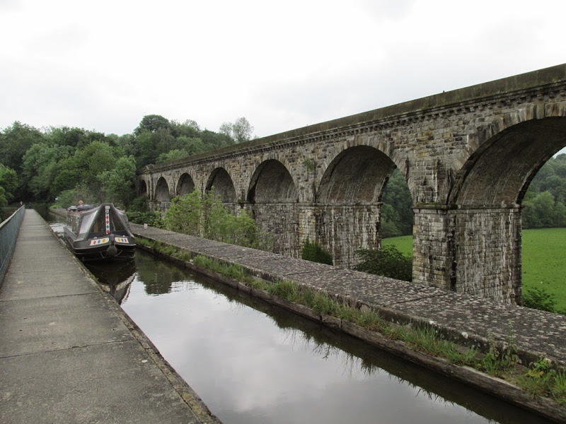 pontycyste 29 -05-1014 056