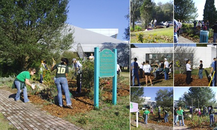 View January 6, 2011 USF Volunteers