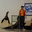hokkaido_389.jpg