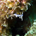 Crw_8395-2