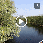 DSCN2720-MOTION.gif
